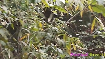 ग्रामीण इलाकों में एक भावुक मुठभेड़: गाँव की लड़की अपने तीव्र पूर्व प्रेमी द्वारा बेतहाशा चोदी जाती है जब तक वह चरमोत्कर्ष पर नहीं पहुंच जाता।